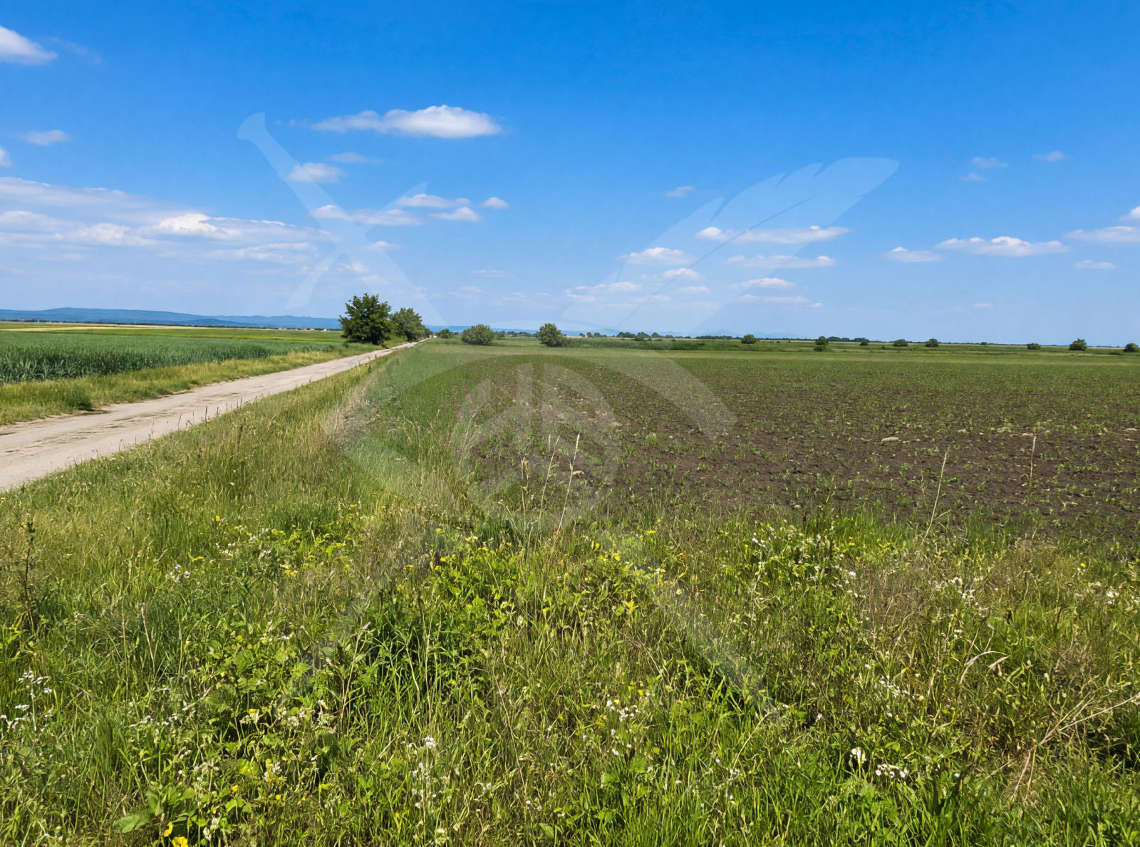 ������� ������ | Imot.bg � ����������� 1