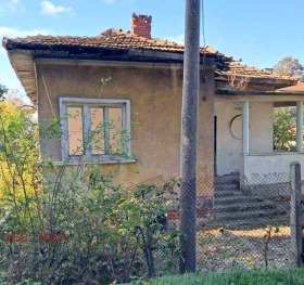 Hus Himik, Vidin 3