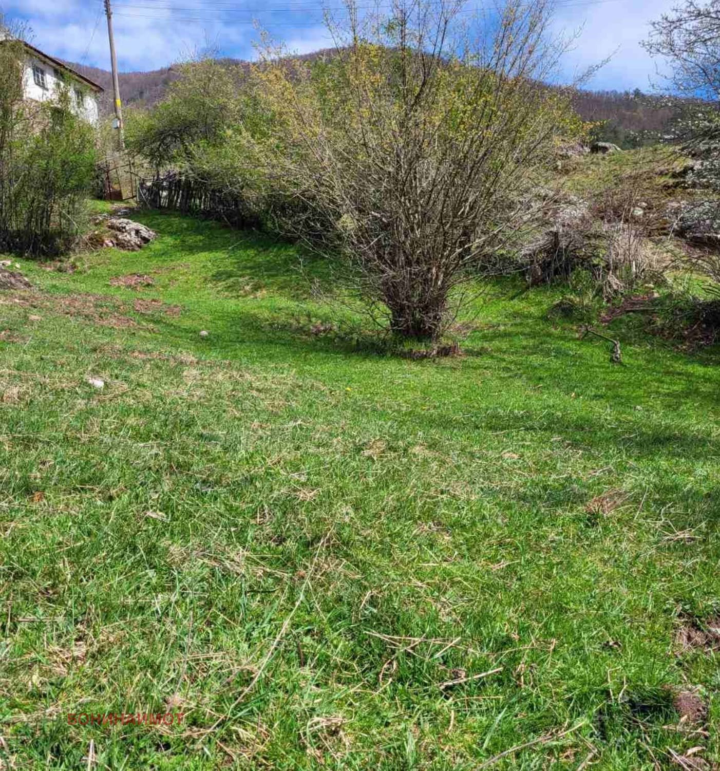 Продава ПАРЦЕЛ, с. Белица, област Пловдив, снимка 3 - Парцели - 56109124