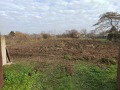 Продава ПАРЦЕЛ, с. Скутаре, област Пловдив, снимка 2