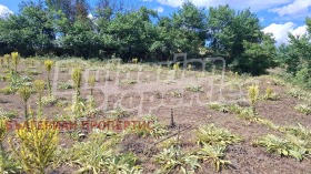 ������� ������ | Imot.bg � ����� ������ 8