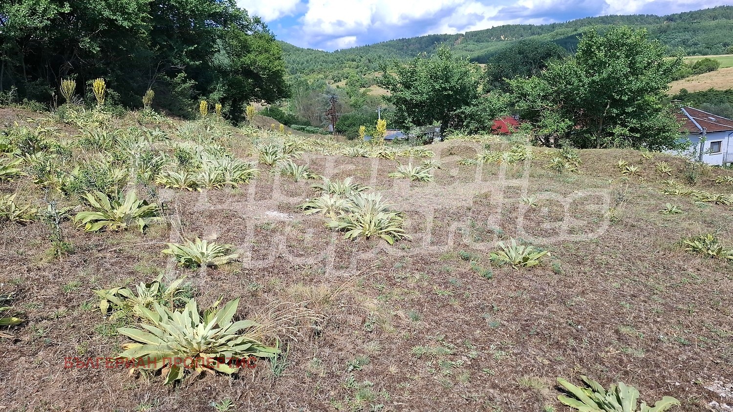 Продава ПАРЦЕЛ, с. Горно Драглище, област Благоевград, снимка 7 - Парцели - 55441702