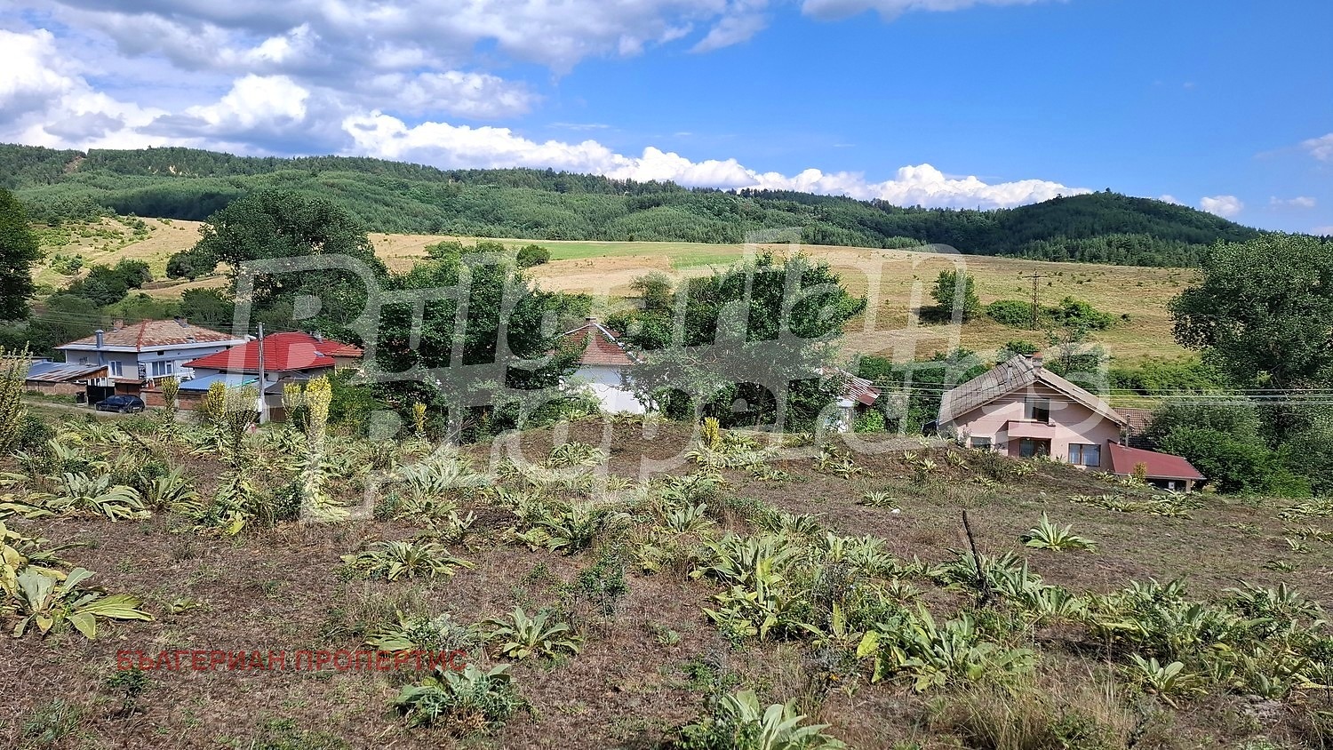 Продава ПАРЦЕЛ, с. Горно Драглище, област Благоевград, снимка 6 - Парцели - 55441702