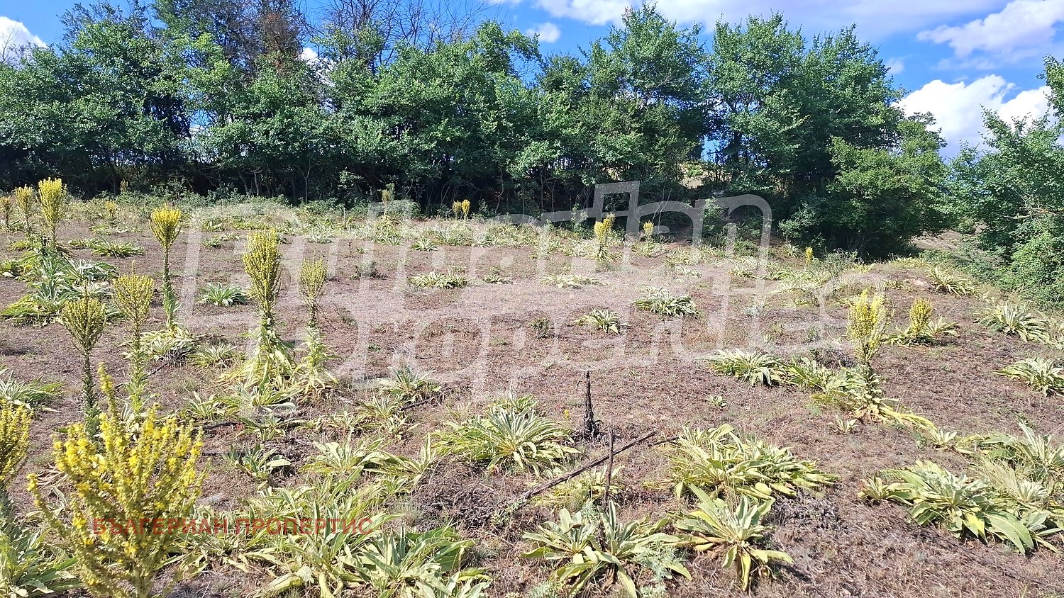 Продава ПАРЦЕЛ, с. Горно Драглище, област Благоевград, снимка 8 - Парцели - 55441702