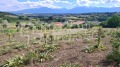 Продава ПАРЦЕЛ, с. Горно Драглище, област Благоевград, снимка 2