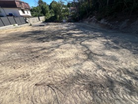 Juoni k.k. Zlatni pjasatsi, Varna