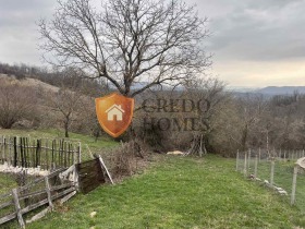 ������ ������� ������