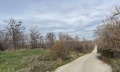 Продава ПАРЦЕЛ, с. Чешнегирово, област Пловдив, снимка 2