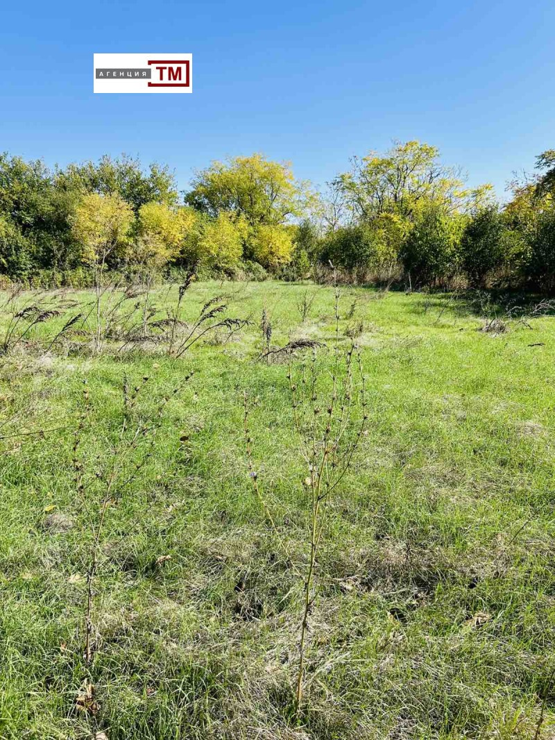 Продава КЪЩА, с. Бенковски, област Стара Загора, снимка 11 - Къщи - 52290131