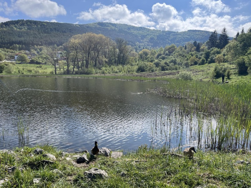 Eladó  Cselekmény régió Pernik , Rudarci , 685 négyzetméter | 18041585 - kép [7]