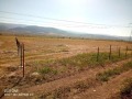 Продава ПАРЦЕЛ, с. Белащица, област Пловдив, снимка 2