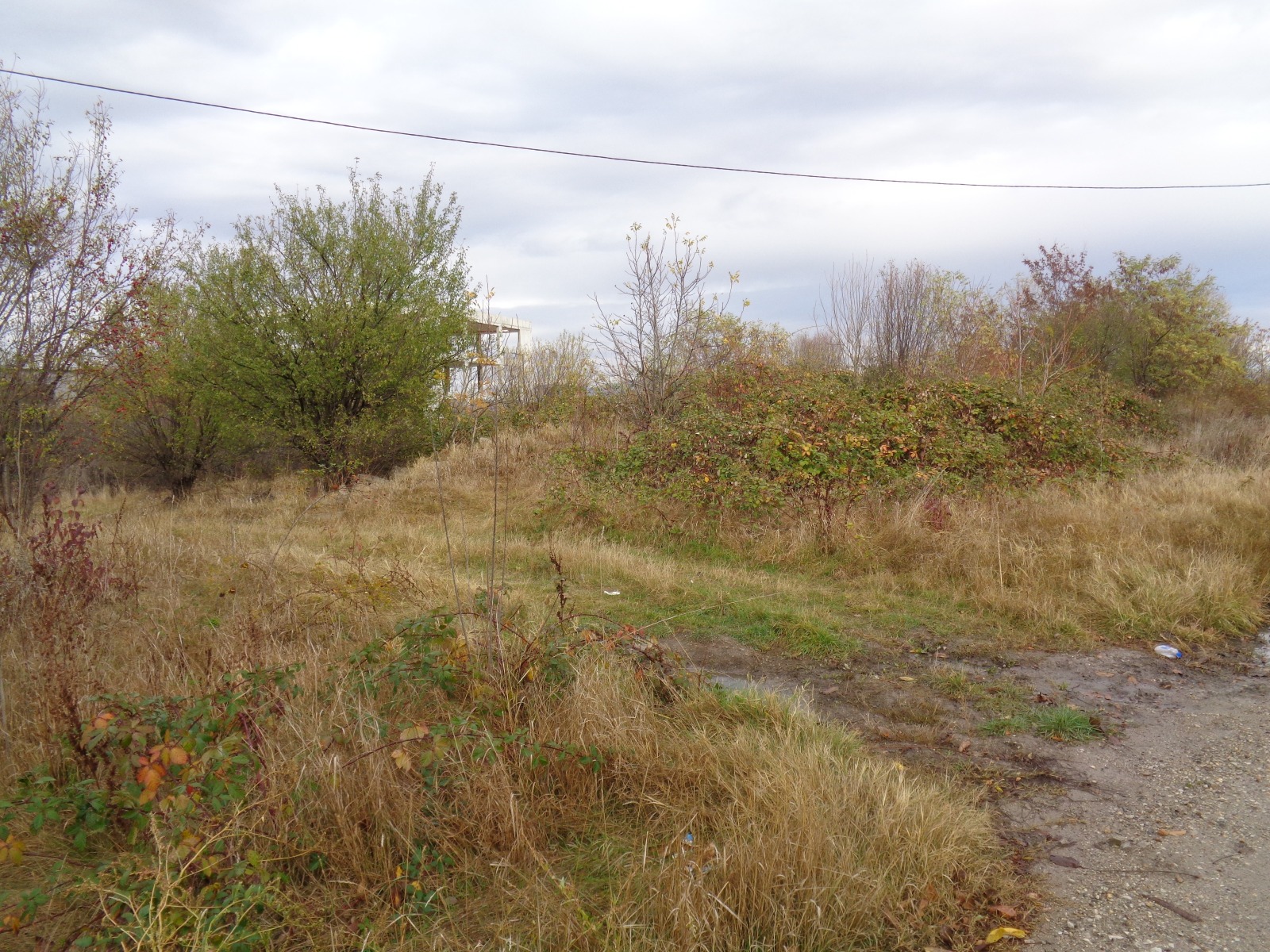 ������� ������ | Imot.bg � ����������� 5