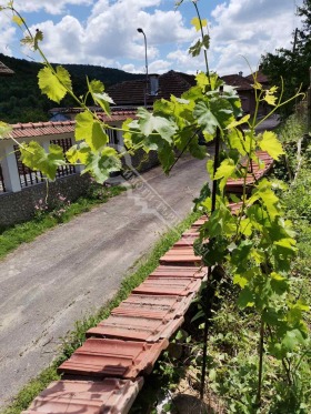 Кућа Ваглевци, регион Велико Тарново 10