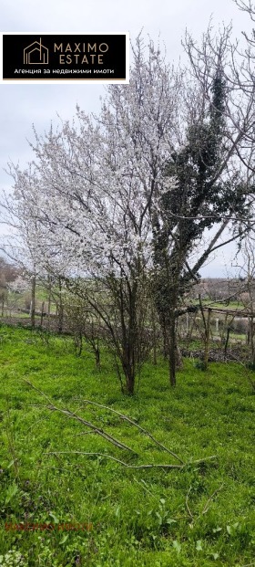 ������� ���� | Imot.bg � ����� ������ 5