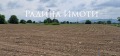 Продава ПАРЦЕЛ, област Пазарджик, с. Мало Конаре • 140000 € / 273816.20 лв. • 44573475 2
