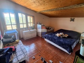 ������� ���� | Imot.bg � ����� ������ 11