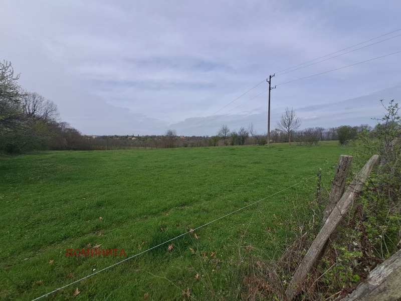 Til salg  Jord region Burgas , Fazanovo , 2 dka | 65080727 - billede [8]