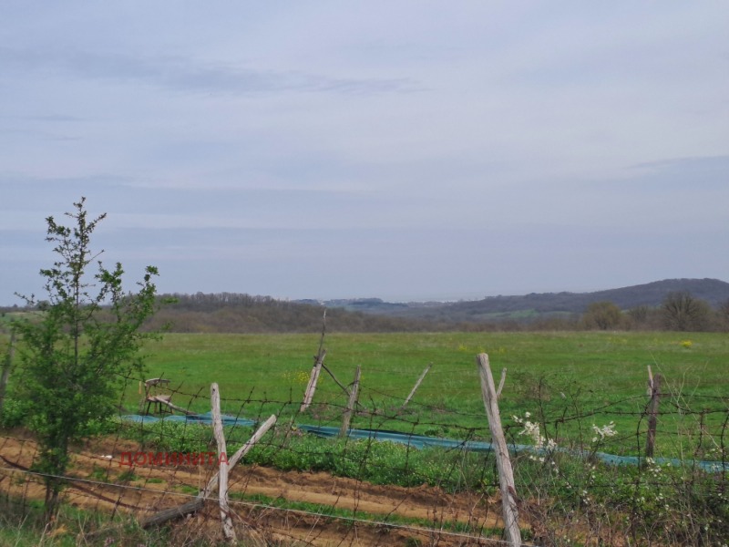 Til salg  Jord region Burgas , Fazanovo , 2 dka | 65080727 - billede [6]