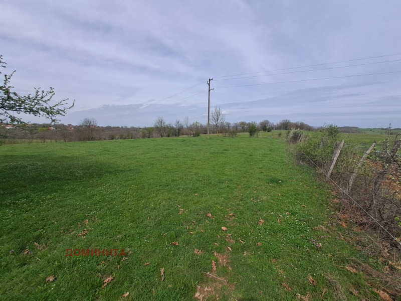 Til salg  Jord region Burgas , Fazanovo , 2 dka | 65080727 - billede [3]