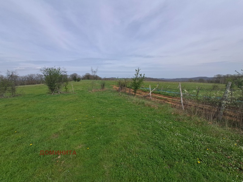 Til salg  Jord region Burgas , Fazanovo , 2 dka | 65080727 - billede [5]