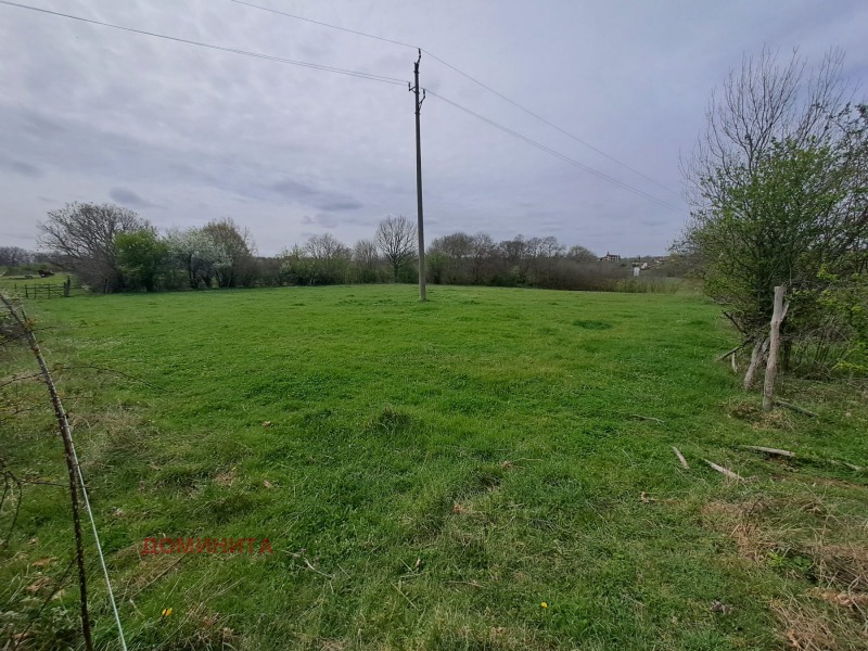 Til salg  Jord region Burgas , Fazanovo , 2 dka | 65080727 - billede [4]