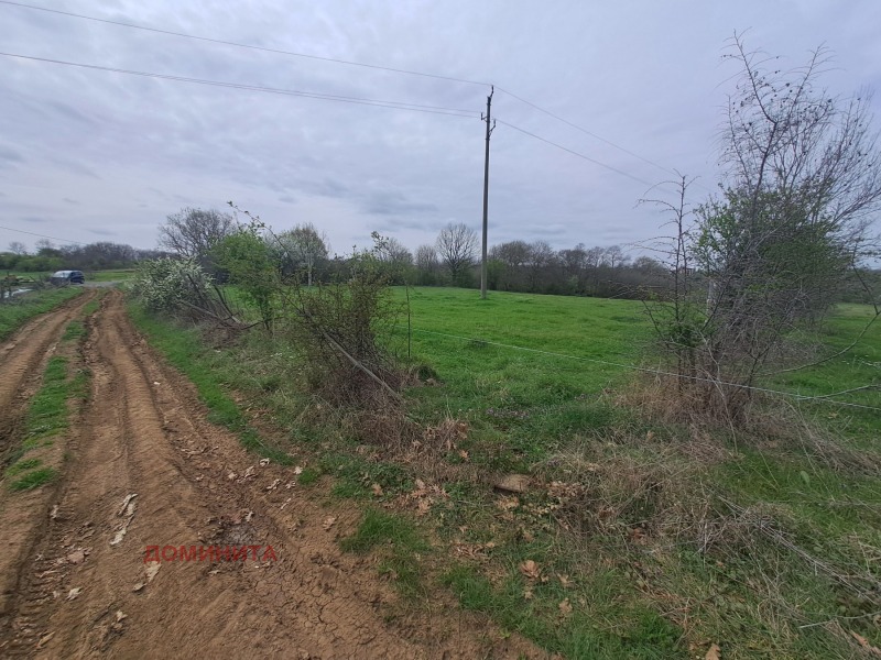 Til salg  Jord region Burgas , Fazanovo , 2 dka | 65080727 - billede [2]