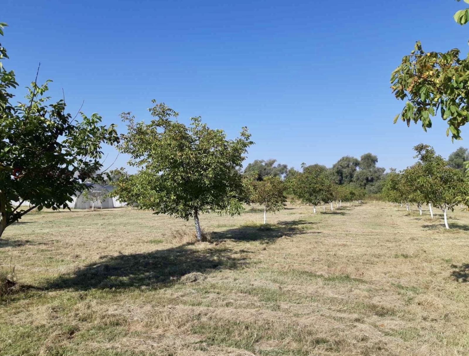 Продава ПАРЦЕЛ, гр. София, с. Мрамор, снимка 2 - Парцели - 54833674
