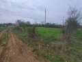 Продава ЗЕМЕДЕЛСКА ЗЕМЯ, с. Фазаново, област Бургас, снимка 2