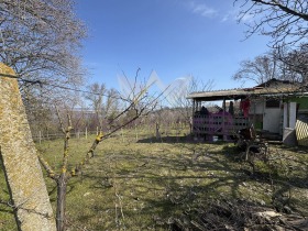 ����� ������� ������,���� �����, �-� �����