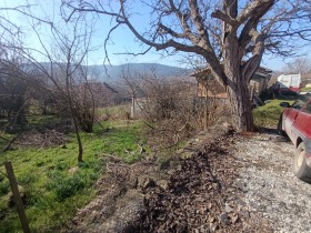 ����� ������� ������,�. �������, ������ ������ �������