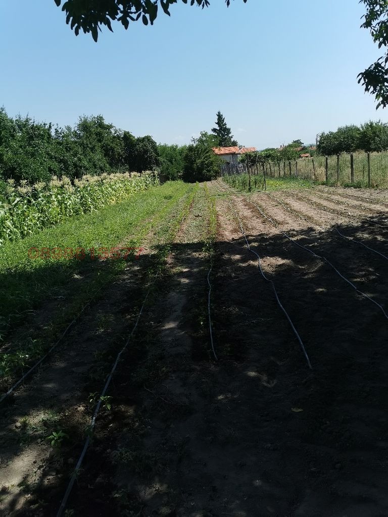 Продава ПАРЦЕЛ, с. Старо Железаре, област Пловдив, снимка 2 - Парцели - 53941469