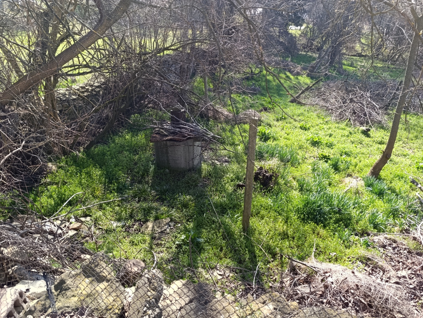 Продава ПАРЦЕЛ, с. Леденик, област Велико Търново, снимка 4 - Парцели - 53825685