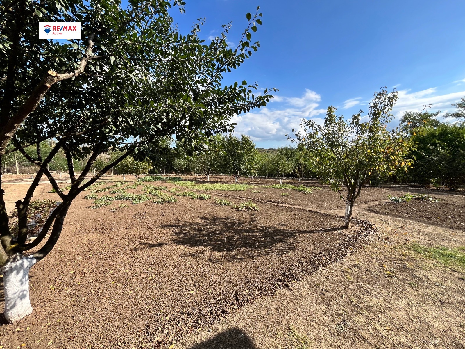 ������� ���� | Imot.bg � ����������� 17