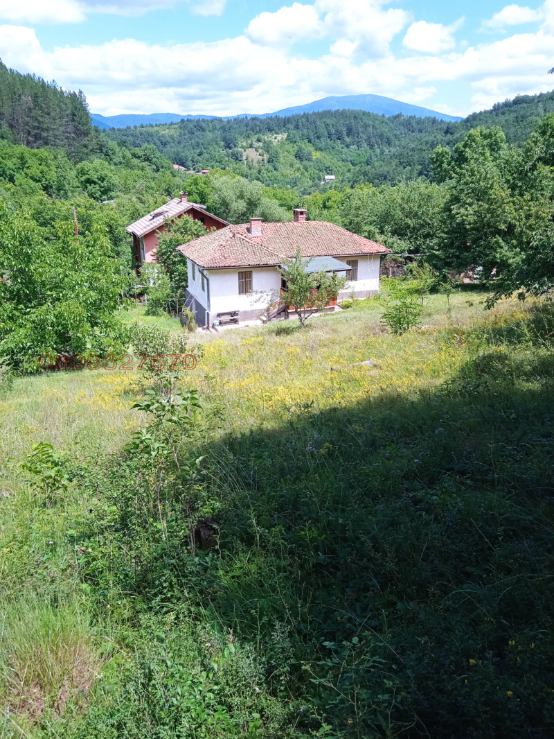 Продава КЪЩА, с. Цегриловци, област Перник, снимка 4 - Къщи - 52786297