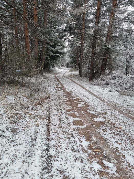 Продава ПАРЦЕЛ | Imot.bg — изображение 2