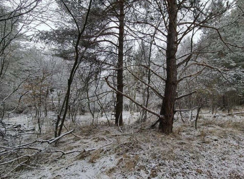 Продава ПАРЦЕЛ в област София, в.з.Ярема - 799 кв.м / 22 000 € » 43 028.26 лв., ЕЙЧ ЕЙЧ БРОКЕРС