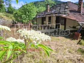 ������� ���� | Imot.bg � ����� ������ 5