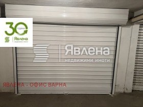 ����� ������� �����,���� �����, ������ ������