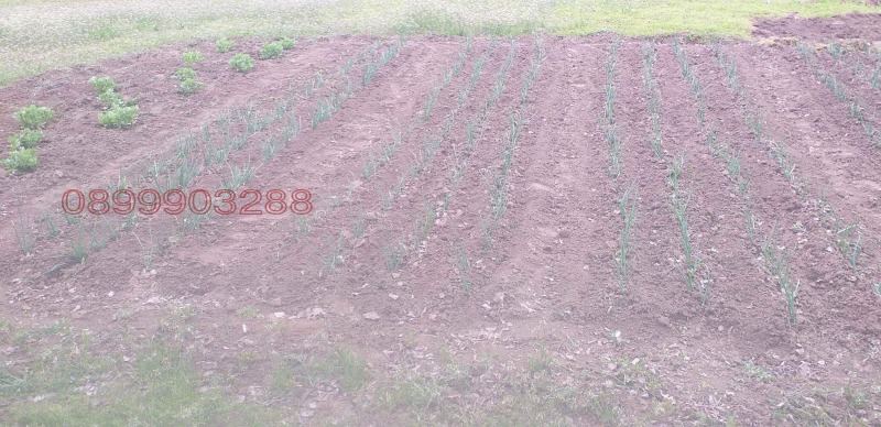 Продава КЪЩА, гр. Завет, област Разград, снимка 10 - Къщи - 52778933