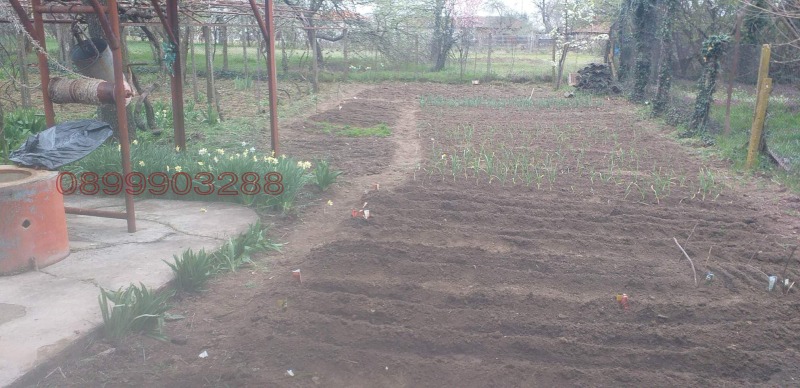 Продава КЪЩА, гр. Завет, област Разград, снимка 7 - Къщи - 52778933