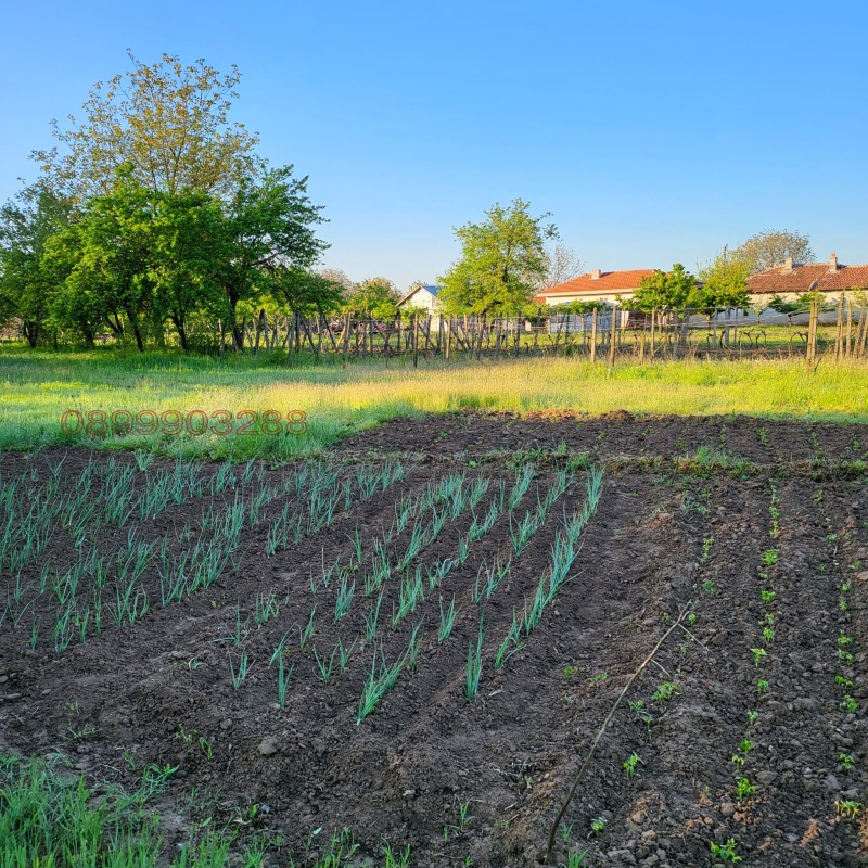 Продава КЪЩА, гр. Завет, област Разград, снимка 14 - Къщи - 52778933