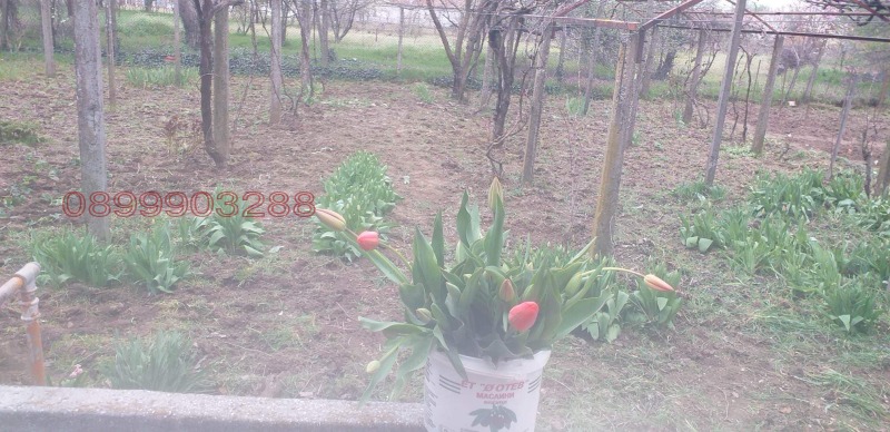 Продава КЪЩА, гр. Завет, област Разград, снимка 9 - Къщи - 52778933