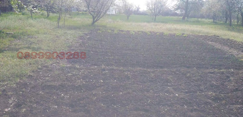 Продава КЪЩА, гр. Завет, област Разград, снимка 12 - Къщи - 52778933