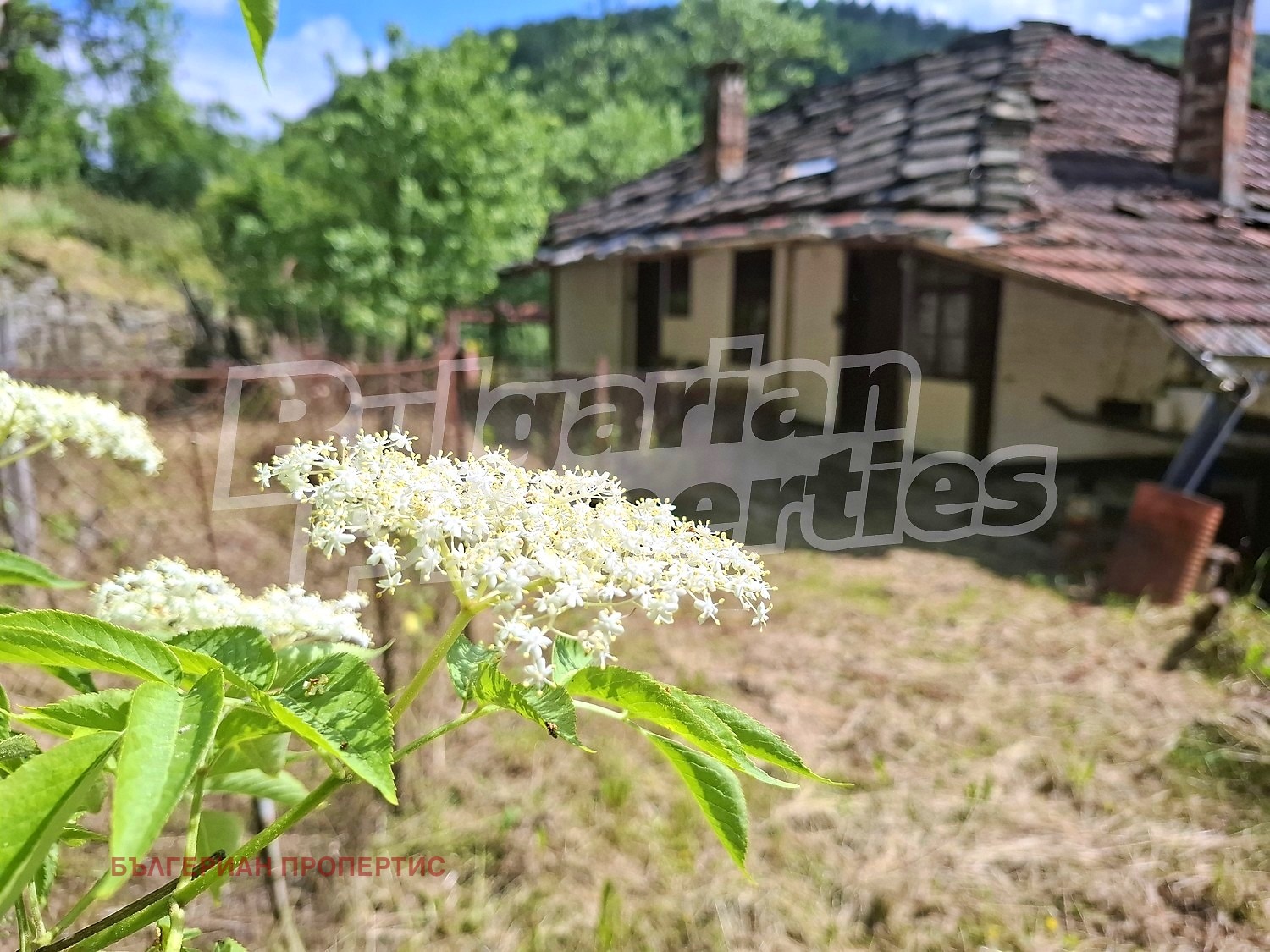 Продава КЪЩА, гр. Плачковци, област Габрово, снимка 5 - Къщи - 54867713
