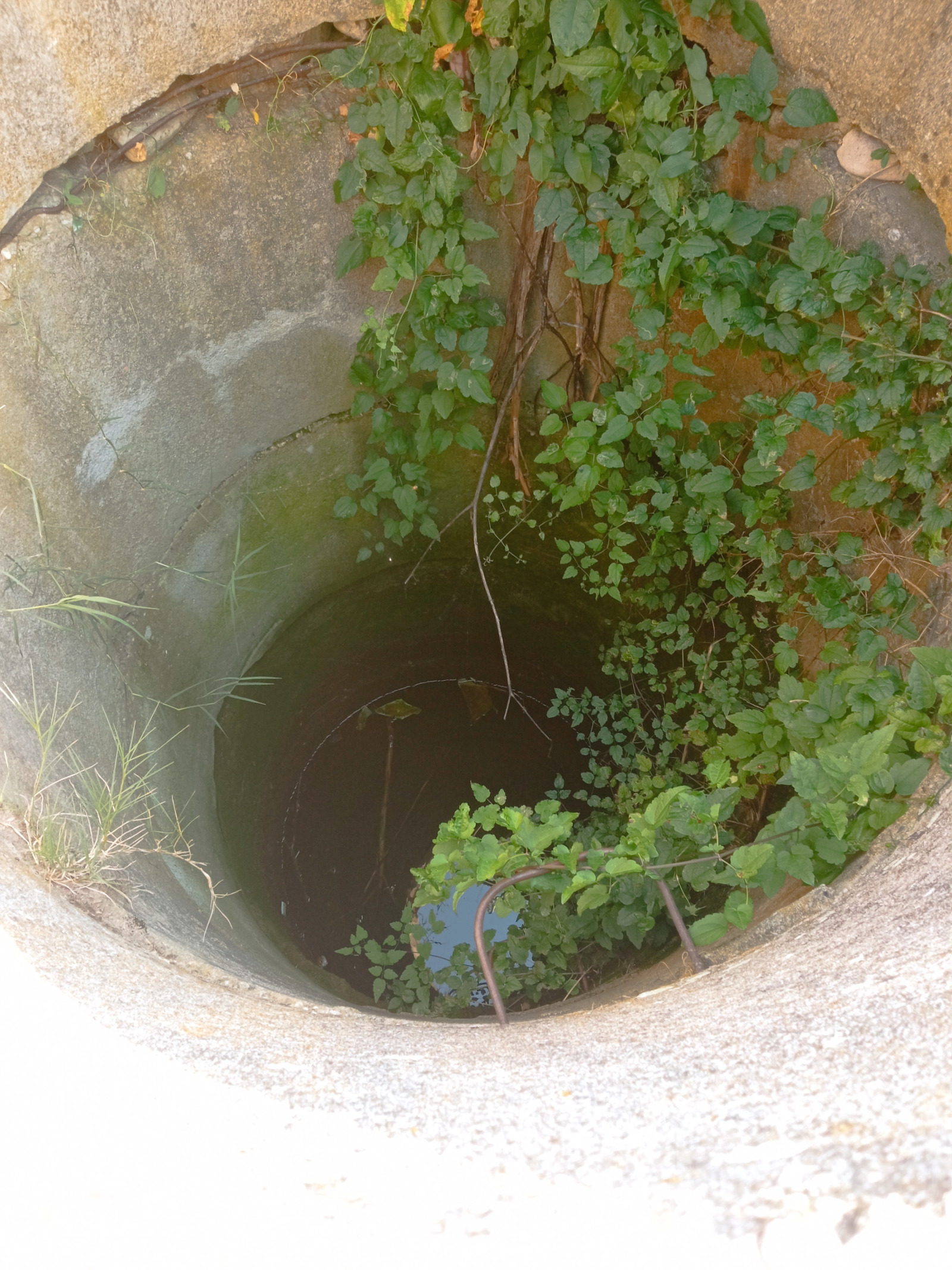 ������� ������ | Imot.bg � ����������� 9