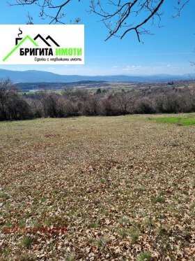 ����� ������� ������,��. �����, ������ �����