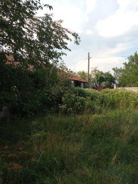 ������� ������ | Imot.bg � ����� ������ 8