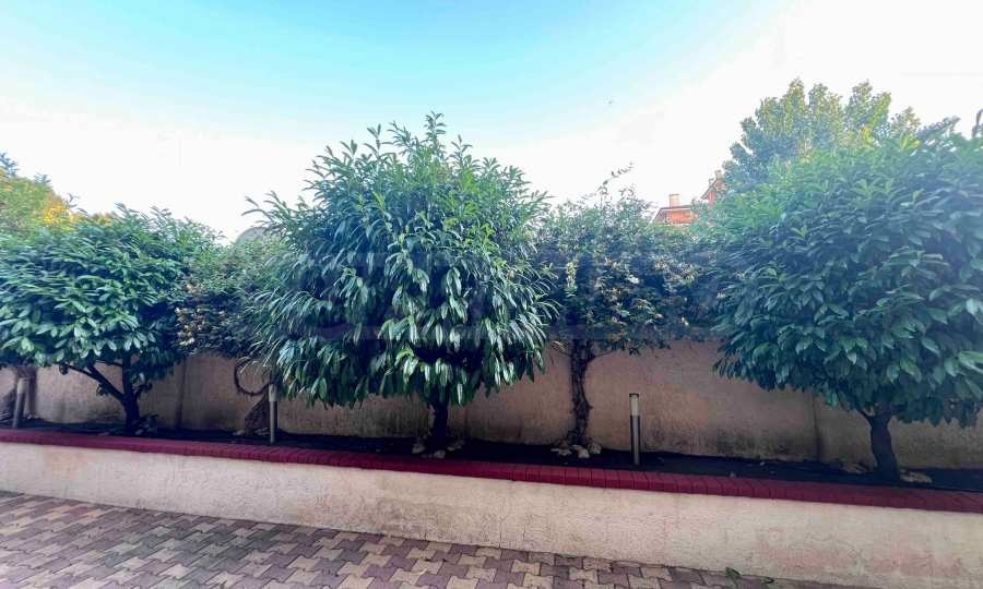 ������� 1-����� | Imot.bg � ����������� 17