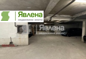 ����� ������� �����,���� �����, ����� 8