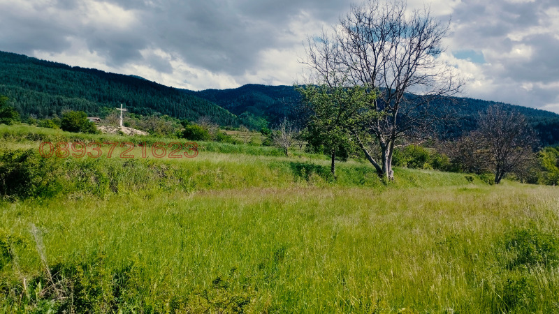 À vendre  Parcelle région Smolyan , Pavelsko , 2000 m² | 63378752 - image [4]